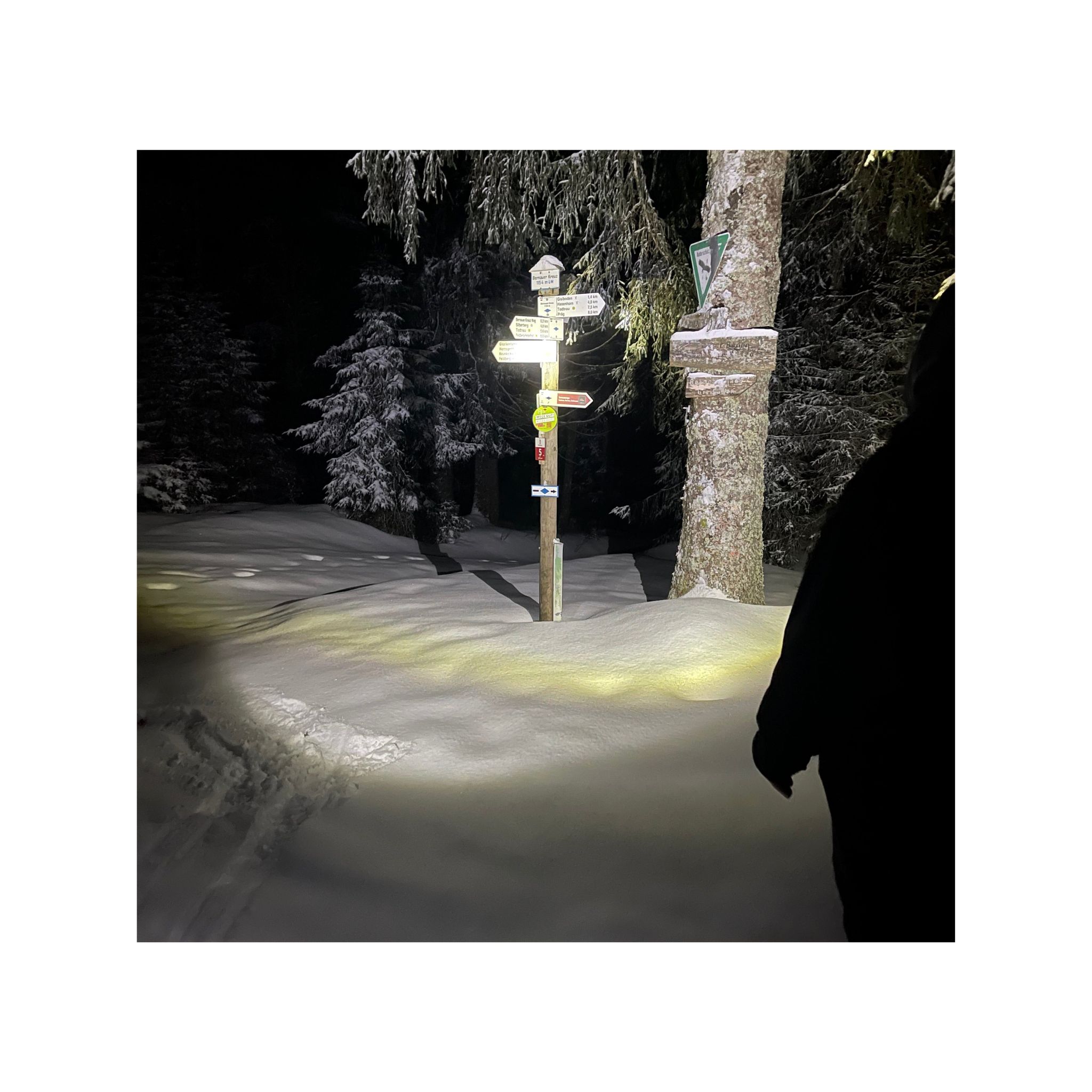 HydraCell HC1D Energiezelle für Taschenlampe AquaTac (Modell 2021)